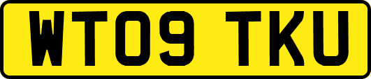 WT09TKU