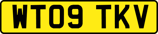 WT09TKV