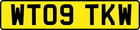 WT09TKW
