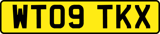 WT09TKX