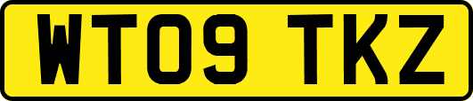 WT09TKZ