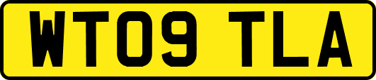 WT09TLA