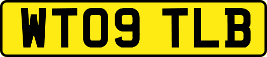 WT09TLB