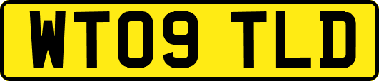 WT09TLD