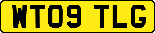 WT09TLG