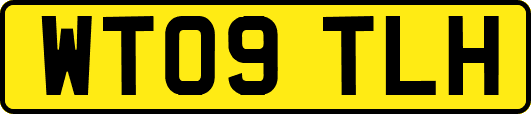 WT09TLH
