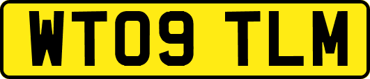 WT09TLM