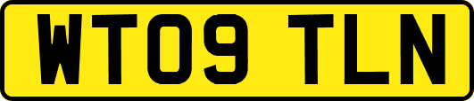 WT09TLN
