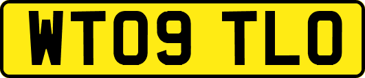 WT09TLO