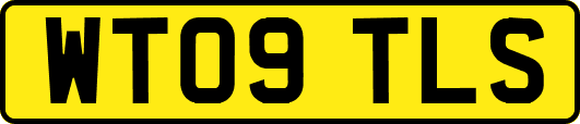 WT09TLS