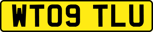 WT09TLU