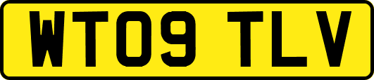 WT09TLV
