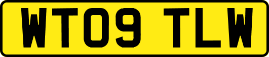 WT09TLW