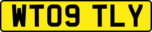 WT09TLY