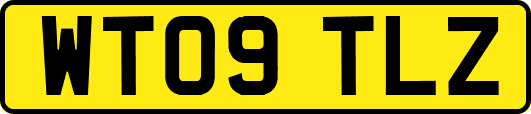 WT09TLZ