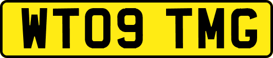 WT09TMG
