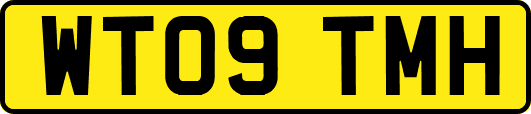 WT09TMH