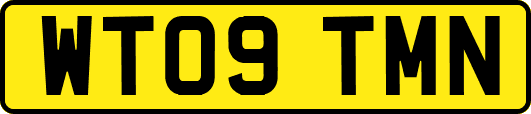 WT09TMN