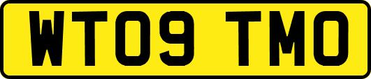 WT09TMO