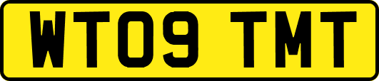 WT09TMT