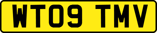 WT09TMV