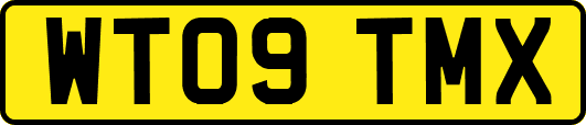 WT09TMX