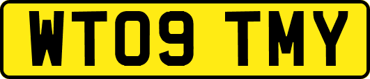 WT09TMY