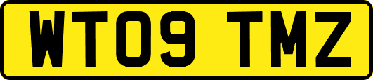 WT09TMZ
