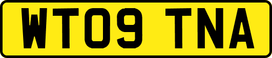 WT09TNA