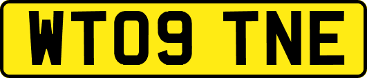 WT09TNE