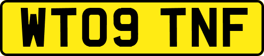 WT09TNF