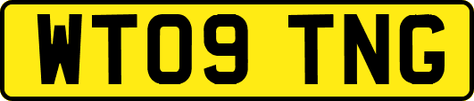 WT09TNG