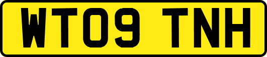 WT09TNH