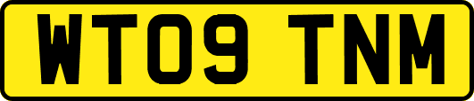 WT09TNM