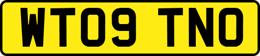 WT09TNO