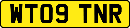 WT09TNR