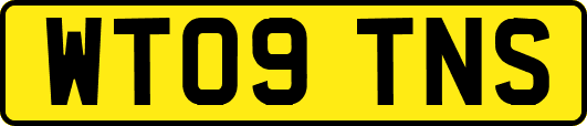 WT09TNS