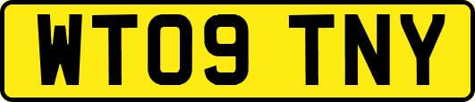 WT09TNY