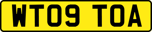 WT09TOA
