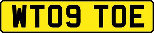 WT09TOE