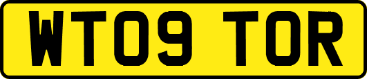 WT09TOR