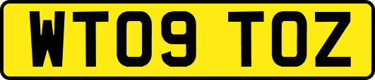 WT09TOZ