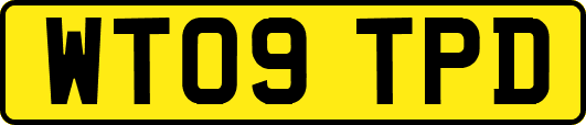 WT09TPD