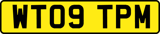 WT09TPM