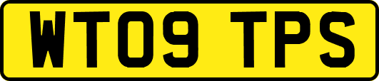 WT09TPS