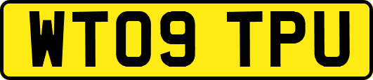 WT09TPU