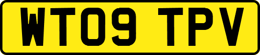 WT09TPV
