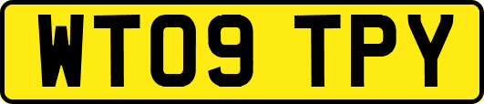 WT09TPY