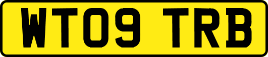 WT09TRB