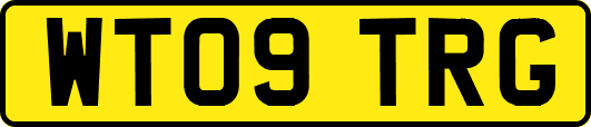 WT09TRG